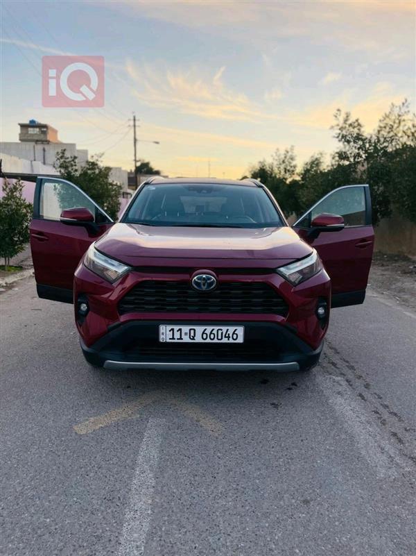 Toyota for sale in Iraq